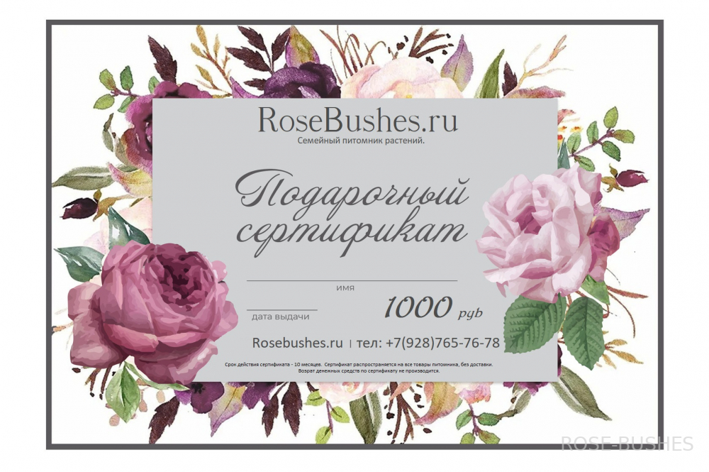 ���������� ���������� �� 1000�